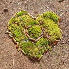 Liebe zu Natur