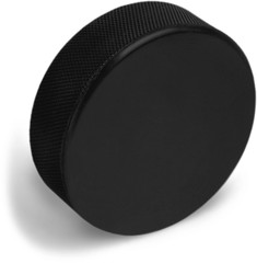 Hockey Puck Standing on Side