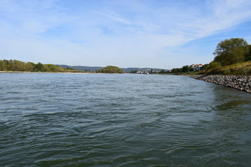 Rhein bei Mühleim-Kärlich