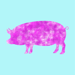 Pig. Vector pig. Pig Icon. Pet. Abstract pig.