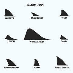 Fototapeta premium Rodzaje płetw rekina, czarne ikony na białym tle. Ilustracji wektorowych.