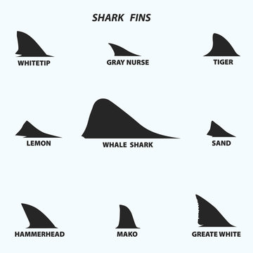 Types of shark fins, black icons on white background. Vector illustration.