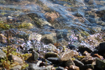 Природа России