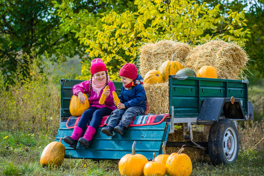 Group Of Little Children Enjoying Harvest Festival Celebration At Pumpkin Patch.