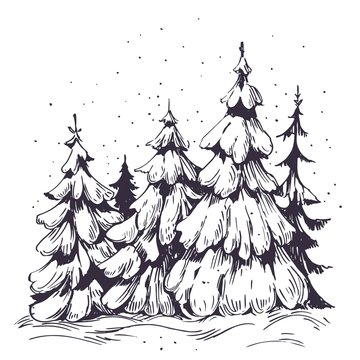 Winter background with  snow and trees. Hand drawn illustration converted to vector.