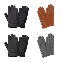 Isolated object of glove and winter logo. Set of glove and equipment vector icon for stock.