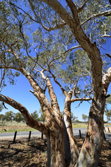 Australia, Northern Territory, McDonnell Range