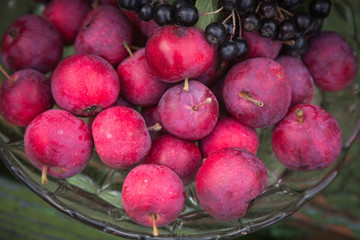 Red apples and black berries in a vase