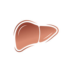 Obraz premium Human liver anatomy. Human internal organs symbol. Vector illustration in flat style isolated on white background.