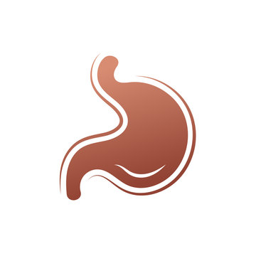 Stomach icon. Human internal organs symbol. Digestive system anatomy. Vector illustration in flat style isolated on white background.