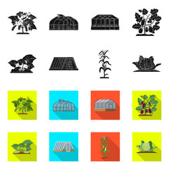 Vector design of greenhouse and plant sign. Set of greenhouse and garden vector icon for stock.