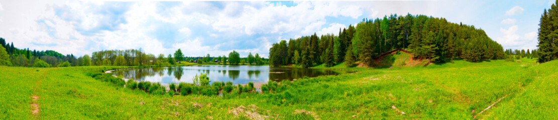 Fototapeta na wymiar Panorama of a meadow with green grass and trees