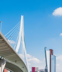 The Erasmus bridge, cable-stayed bridge in the center of Rotterdam
