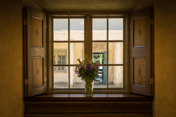 flowers on the windowsill