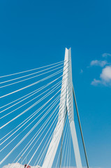 The Erasmus bridge, cable-stayed bridge in the center of Rotterdam