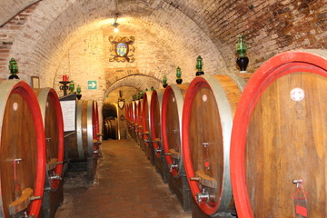 Botti e cantina
