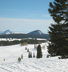 winter in the mountains