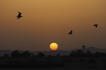 Sonnenuntergang &Auml;gypten Sandsturm W&uuml;ste