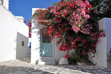 Paros