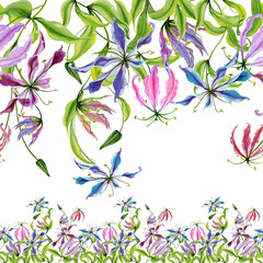Beautiful gloriosa flowers on climbing twigs on white background. Seamless pattern. Floral border. Watercolor painting. Hand drawn and painted illustration.