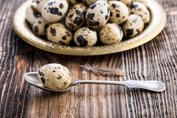 organic quail eggs