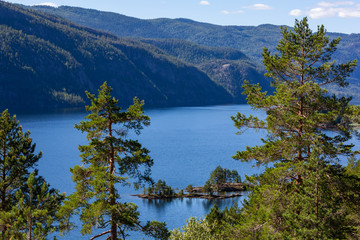 Norwegian pines grow on the high green slopes above the blue calm vastness of picturesque fjord at sunny day, Telemark region, Southern Norway