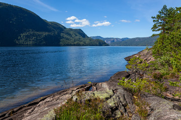 Blue sky reflects in the clear calm water of Norwegian fjord. Coastal stones partly covered with water and small coniferous trees grow on the shore.