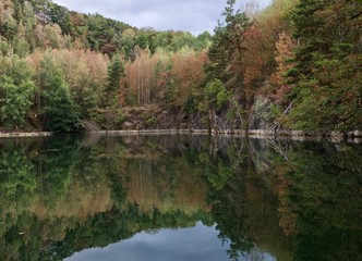 Mirror Lake reflecting the forest and the sky, Germany