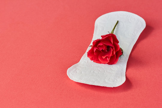 Sanitary napkin and flower on red background