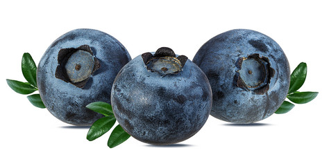 Fresh blueberry with leaf isolated on white background with clipping path
