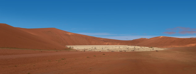 Fototapeta na wymiar Deadvlei salt pan of Sossusvlei, inside the Namib-Naukluft Park in Namibia 