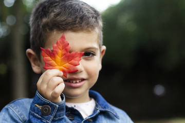 Cute boy shows a leaf in autumn in the forest