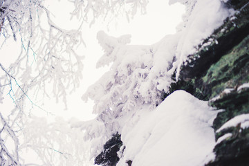 Top view from the ski slopes among the spruces on snow covered and foggy valley on the background mountain peaks. Skiing park Kubinska Hola  Western Tatras Travel destination for winter vacations . © malykalexa777