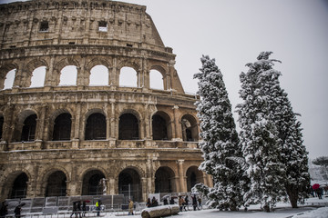 Fototapeta premium colos