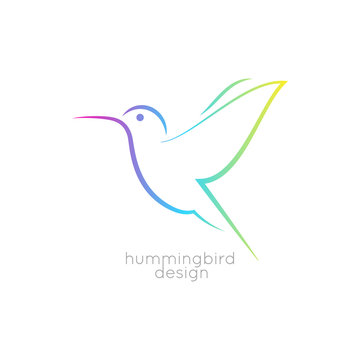 Hummingbird logo design. Colibri bird icon on white background