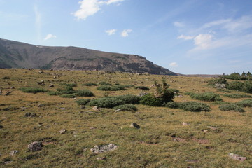 Uintas Near Gilbert Lake 20