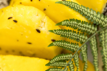 Yellow cheese with cumin and a green fern