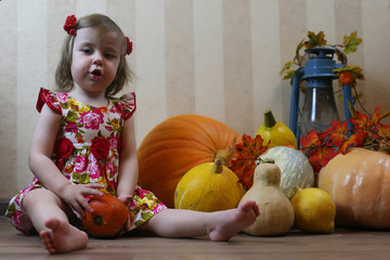 Fototapeta premium girl with pumpkins eve of halloween