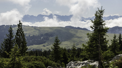 Massif de la Chartreuse - Isère.