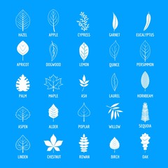 Leaf icons set. Simple illustration of 25 leaf vector icons for web