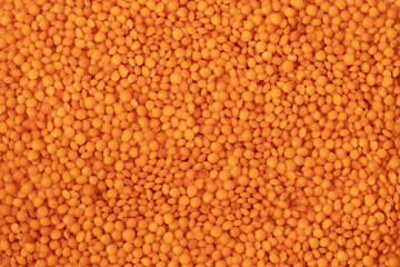 Orange lentils full background, top view