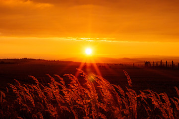 Very beautiful and colorful sunset in the countryside with grass in the foreground