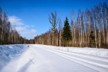 Obraz premium frozen countryside fields near forest with fresh snow