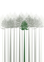 Vector illustration of forest fir trees silhouette on a white background
