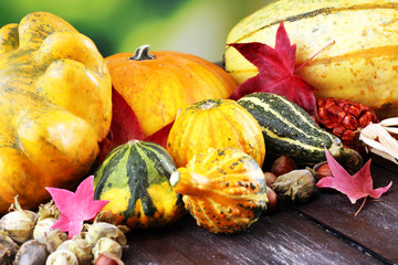 Diverse assortment of pumpkins on a wooden background. Autumn harvest