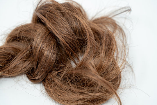 Pile Of Hair Images  Browse 6 Stock Photos Vectors and Video  Adobe  Stock
