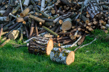 large pile of fresh fire wood logs