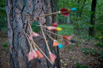 Wooden arrows in the tree (target) after firing archer