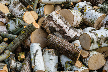 large pile of fire wood logs