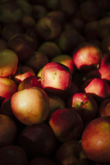 apples on black background